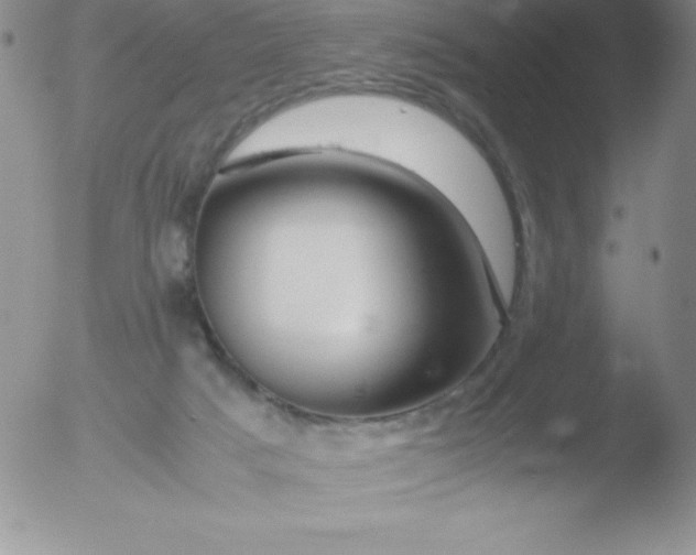 X0000051900025200507082015