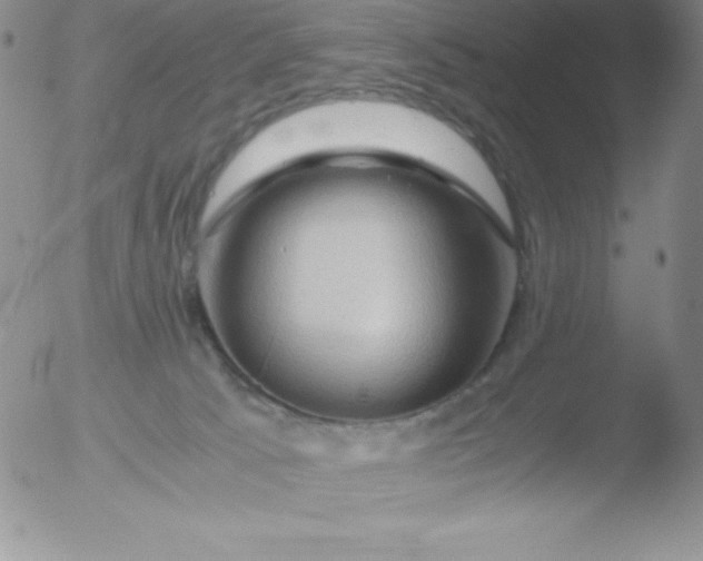 X0000051900033200507082015