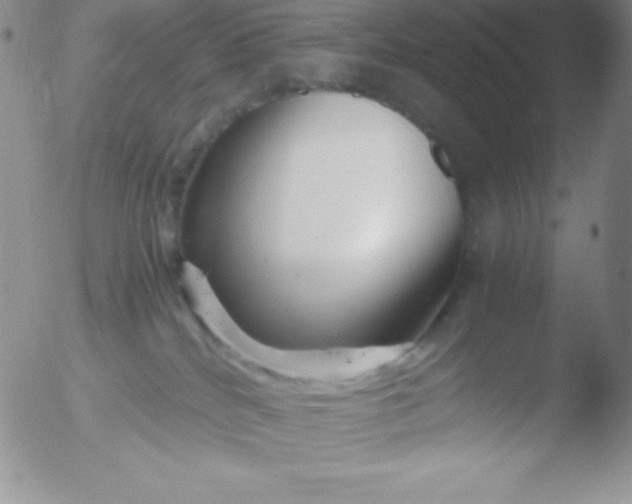 X0000051900040200507082015