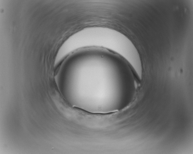X0000051900045200507082015