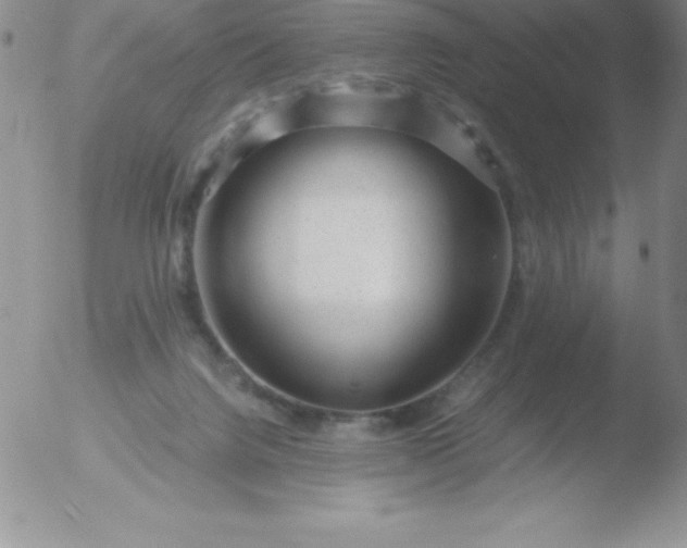 X0000051900072200507082015