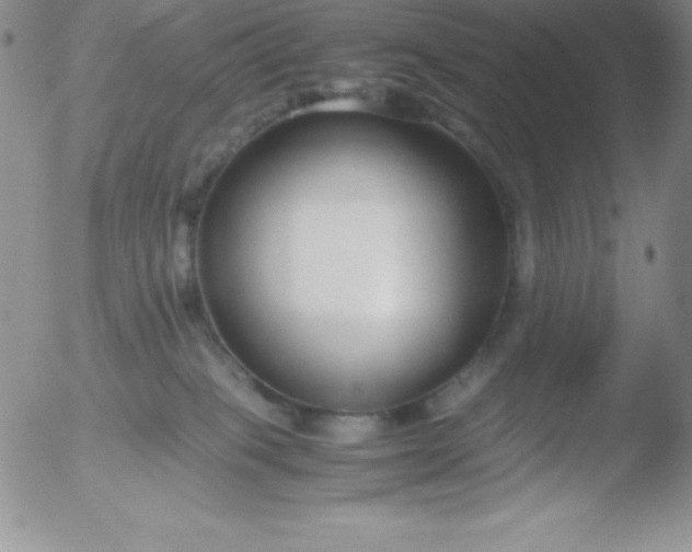 X0000051900085200507082015