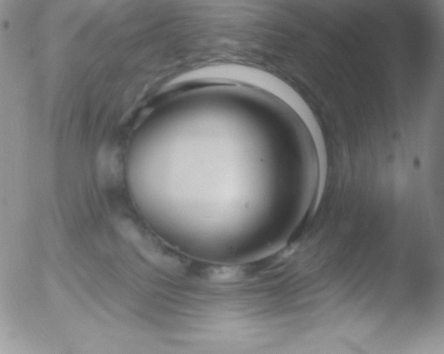 X0000051900088200507082015