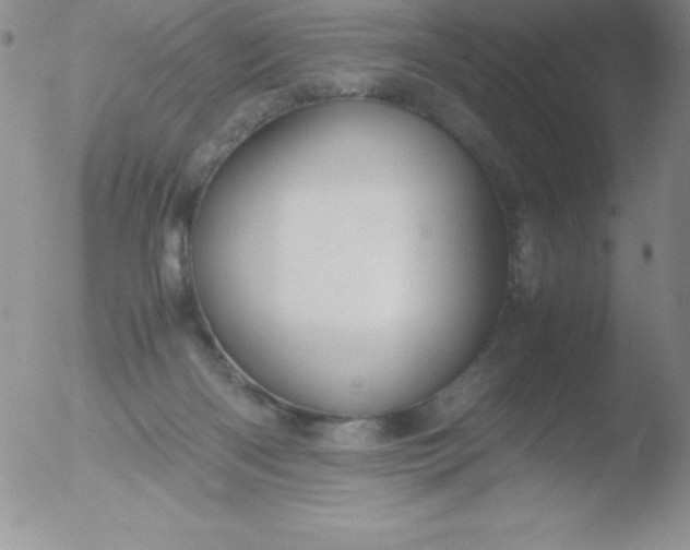 X0000051900122200507082014