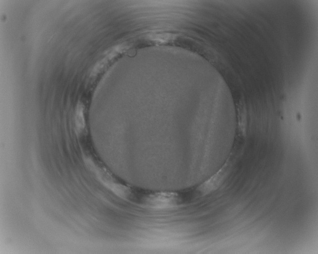 X0000051900128200507082014