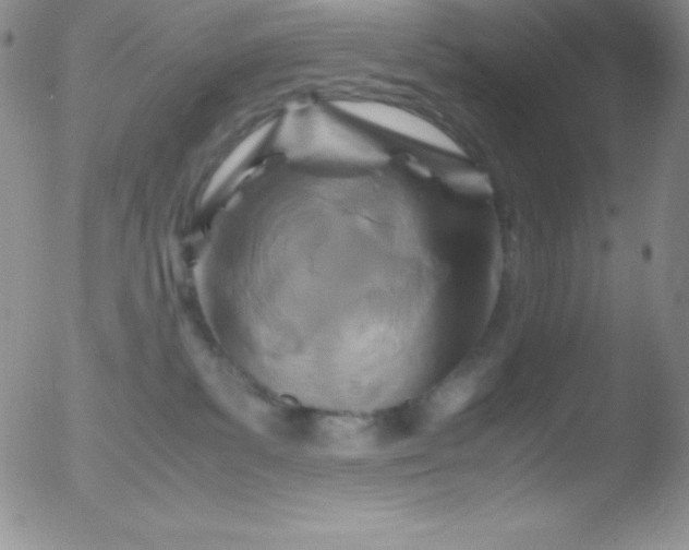 X0000051900139200507082013