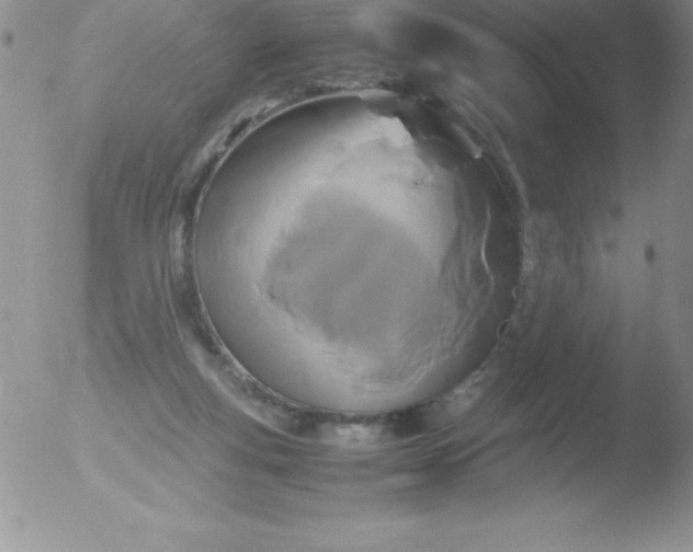 X0000051900163200507082013