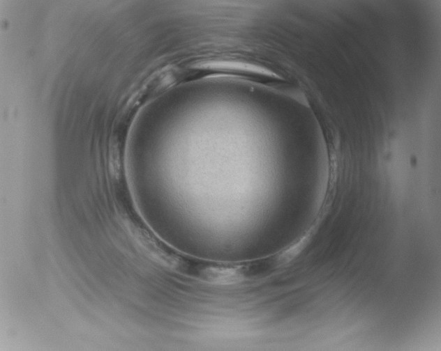 X0000051900170200507082013