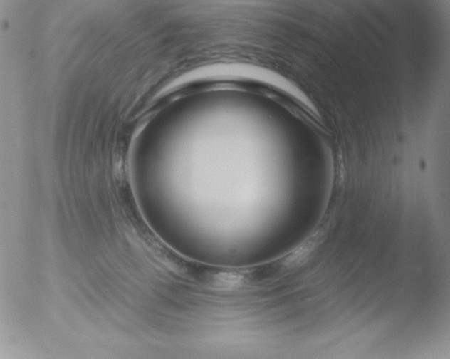 X0000051900176200507082013