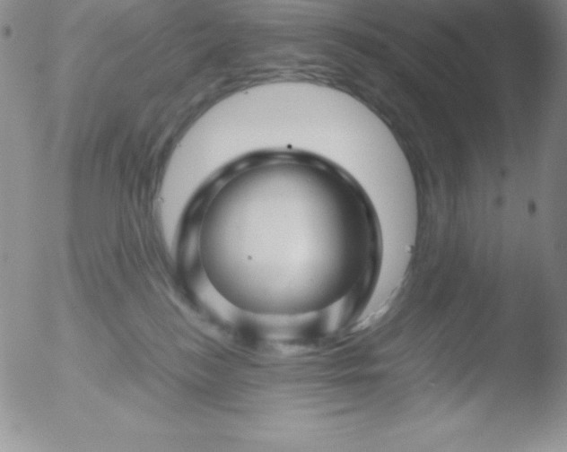 X0000051900184200507082013