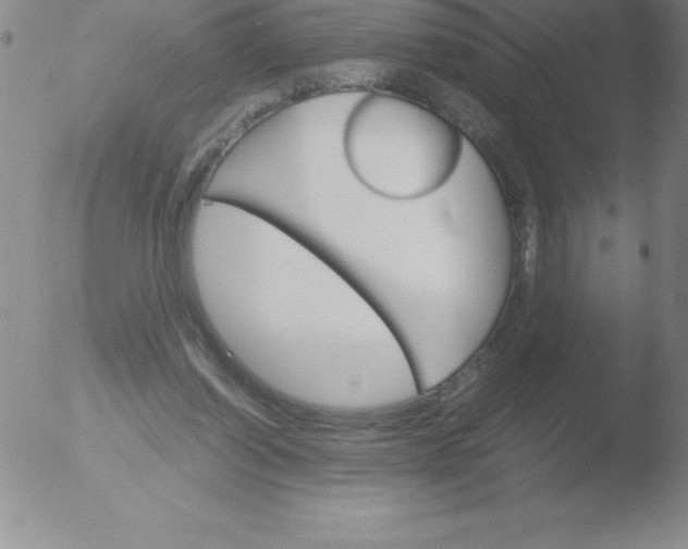 X0000051900254200507082011