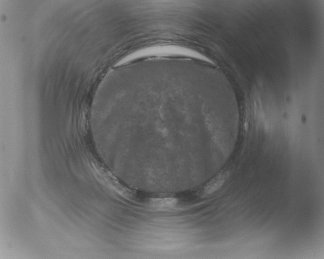 X0000051900266200507082011