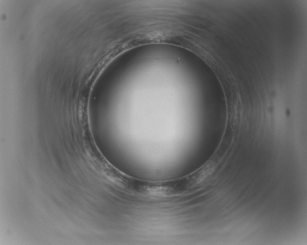 X0000051900268200507082011