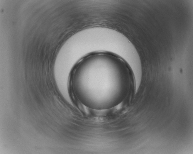 X0000051900276200507082012