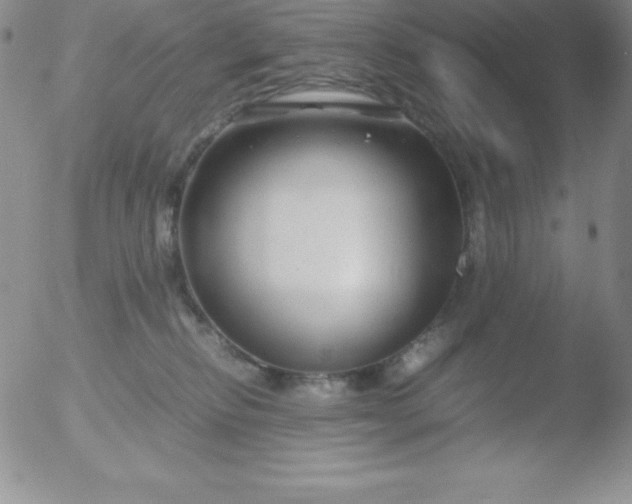 X0000051900278200507082012