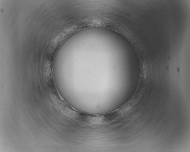 X0000051900318200507082011