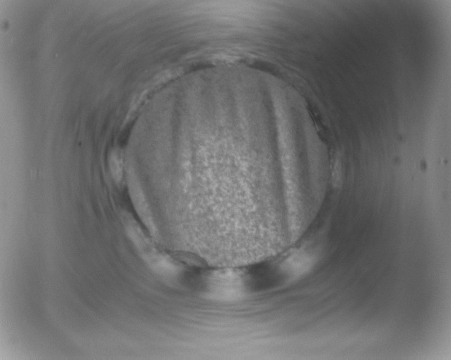 X0000051900335200507082010