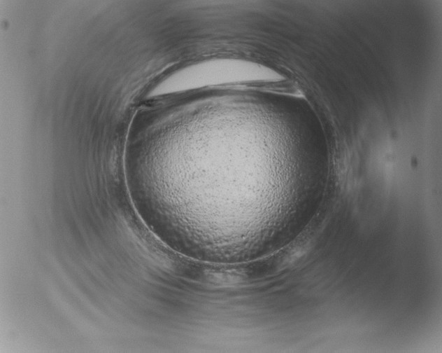 X0000051900359200507082010
