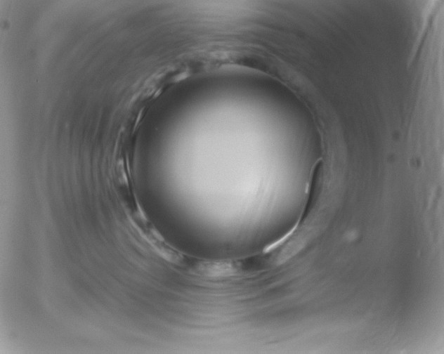 X0000051900384200507082010