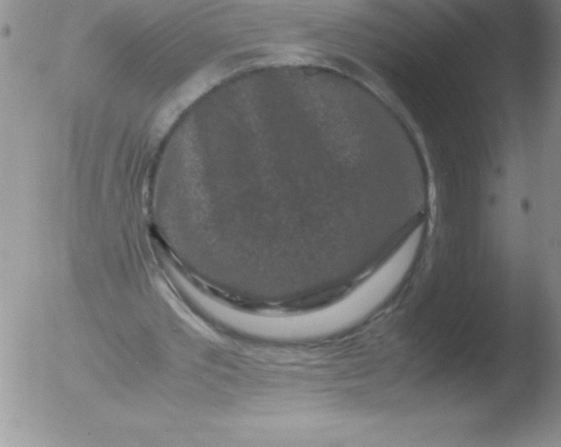 X0000051900389200507082009