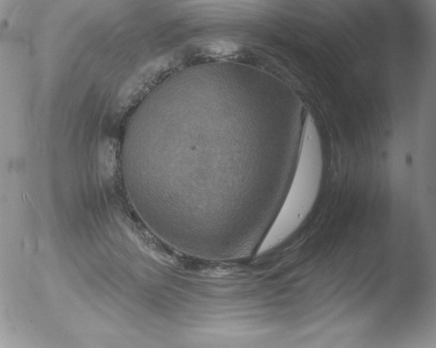 X0000051900412200507082009