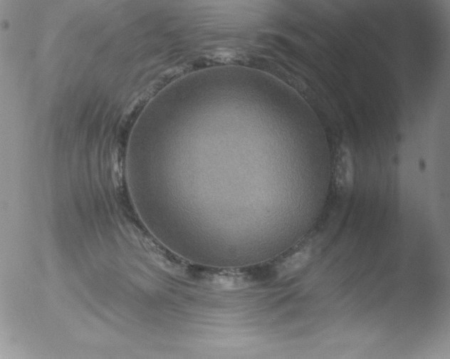 X0000051900420200507082009