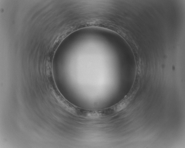 X0000051900470200507082008