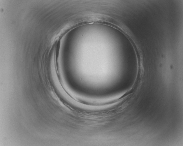 X0000051900485200507082008