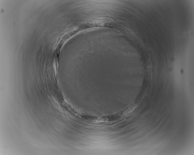 X0000051900504200507082007