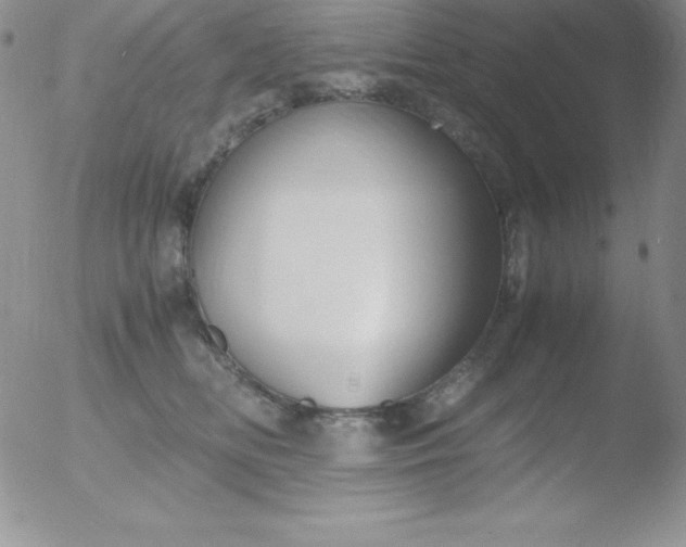 X0000051900518200507082007