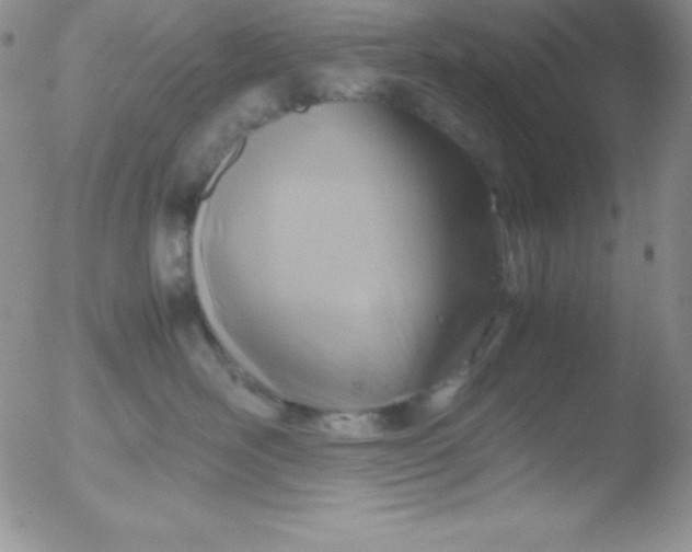 X0000051900526200507082007