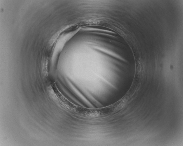 X0000051900600200507082006