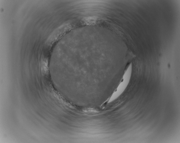 X0000051900610200507082006