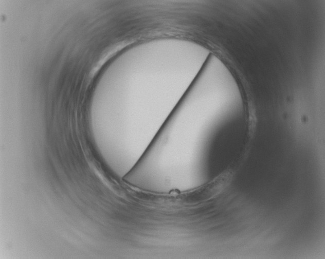 X0000051900626200507082005