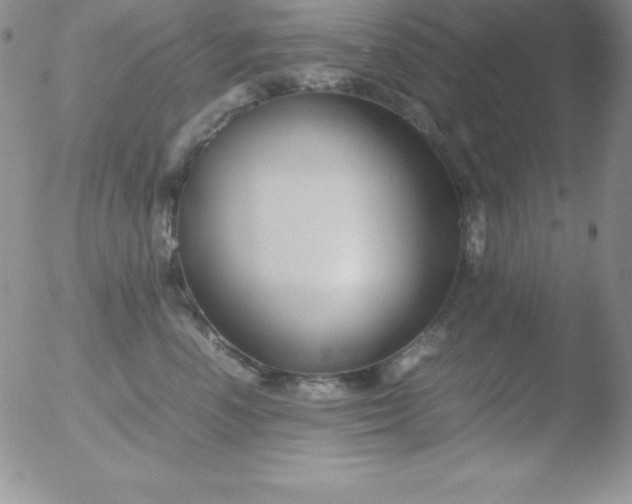 X0000051900666200507082005