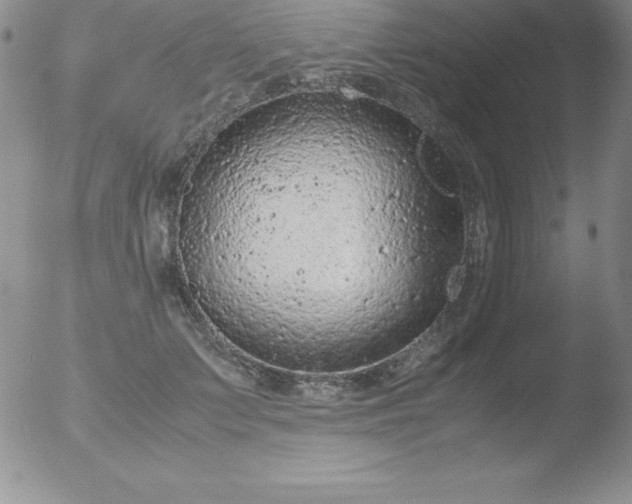 X0000051900703200507082004