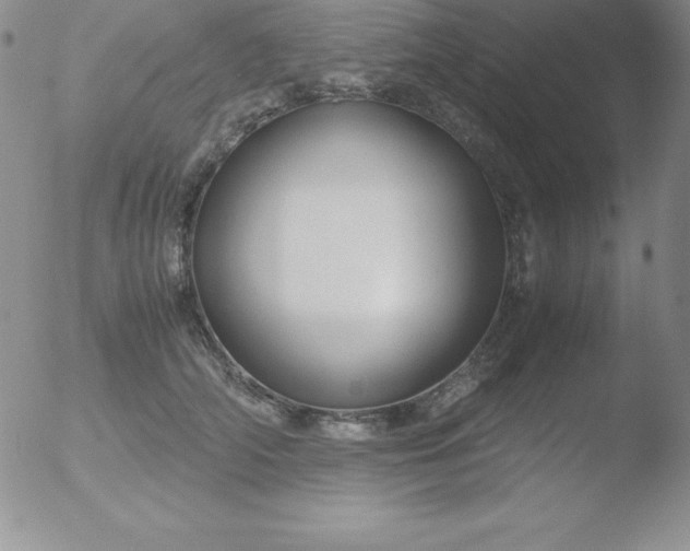 X0000051900706200507082004