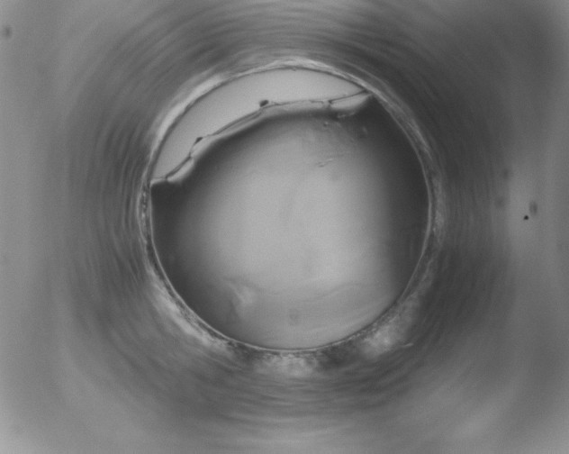 X0000051900806200507082002