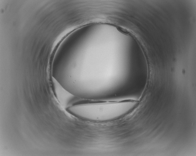 X0000051900902200507082001