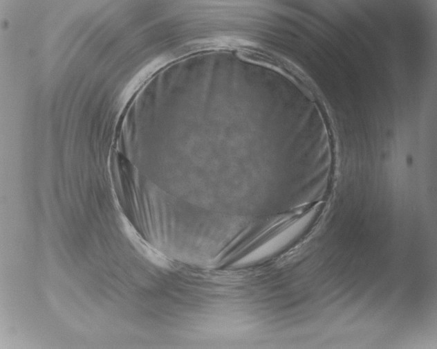 X0000051900946200507082000