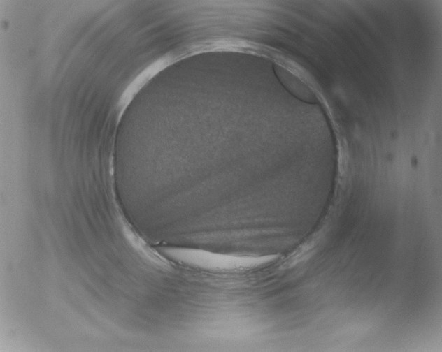 X0000051900954200507082001
