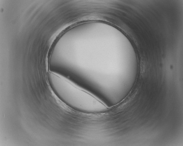 X0000051900988200507081959