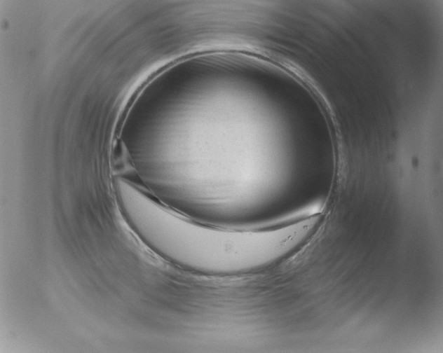 X0000051900996200507081959