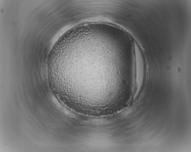 X0000051900998200507081959