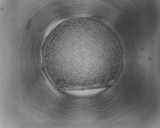 X0000051901031200507081959