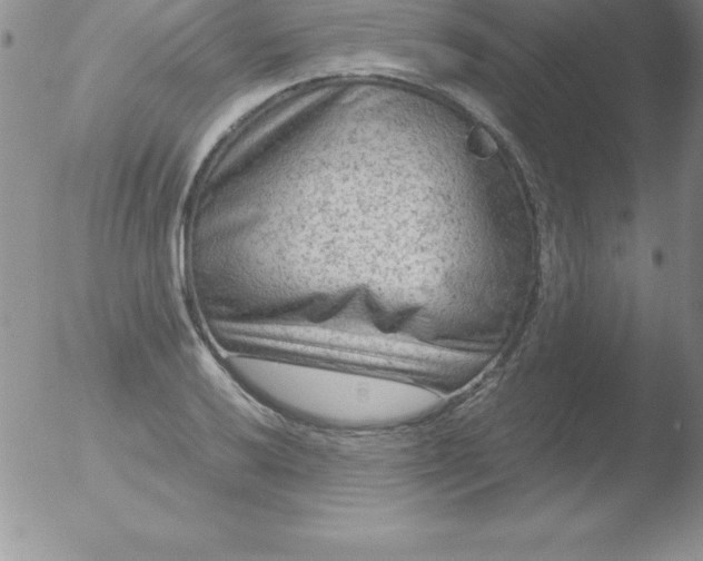 X0000051901032200507081959