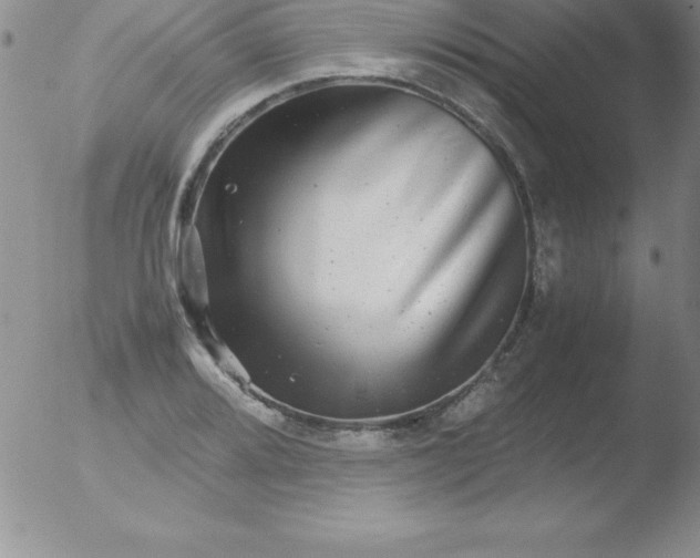 X0000051901080200507081958