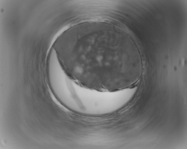 X0000051901095200507081958