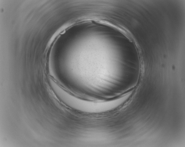 X0000051901146200507081957
