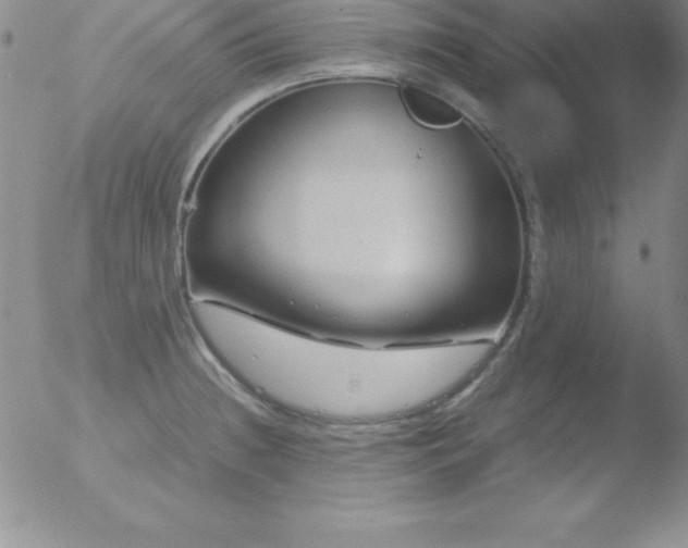 X0000051901236200507081956